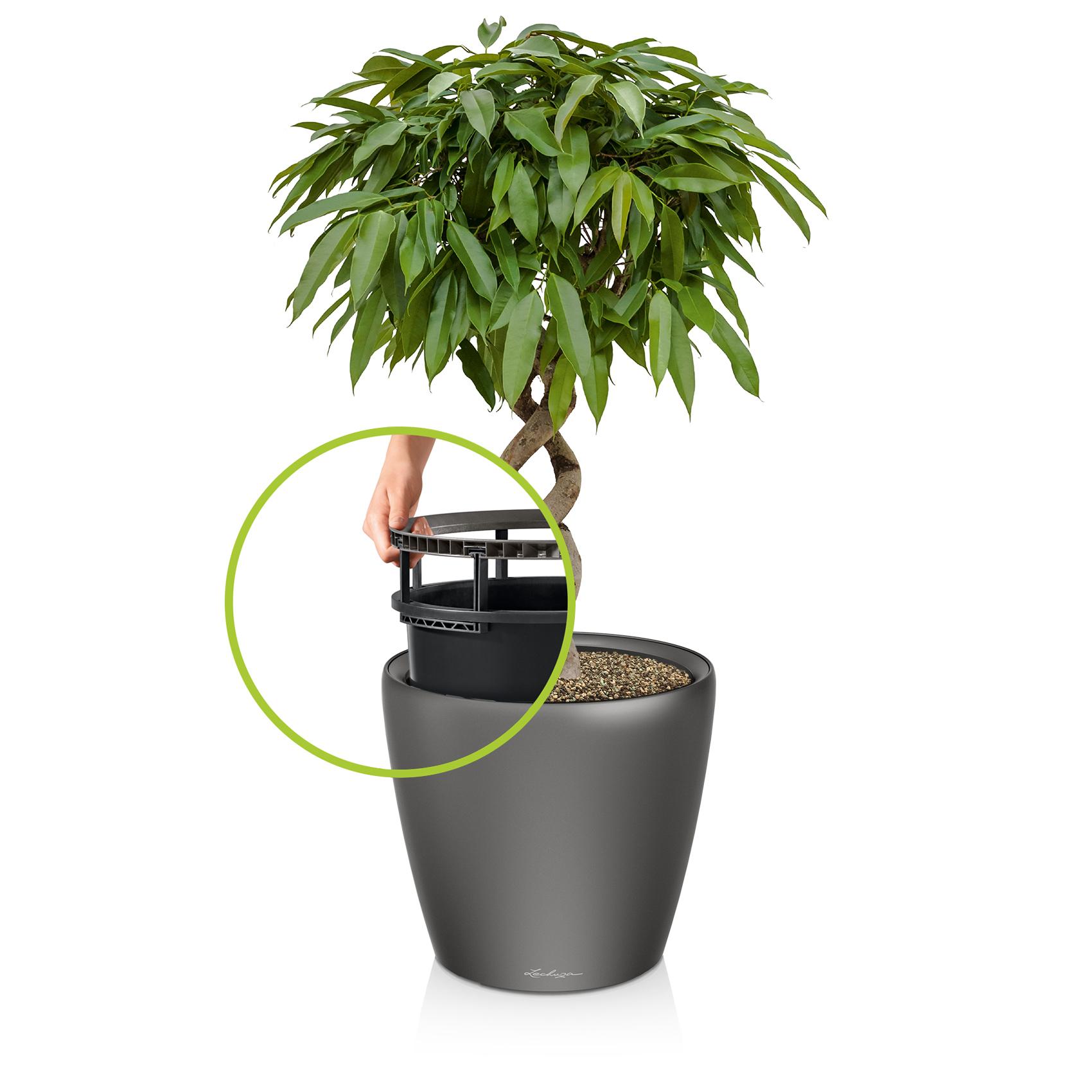 CLASSICO LS 21 charcoal metallic